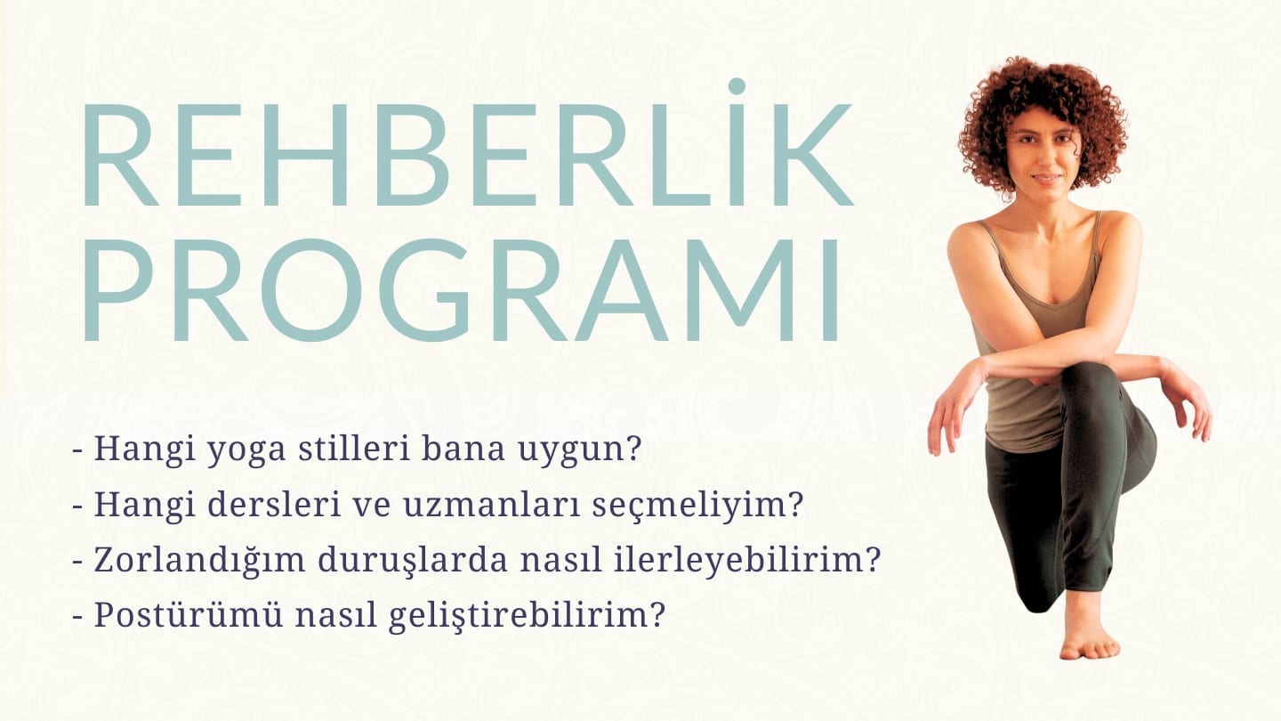 Rehberlik Programi